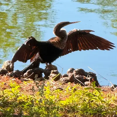 Home img 4423 scaled