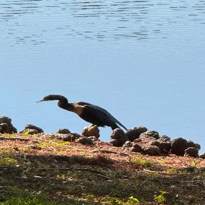 Home img 4493 scaled